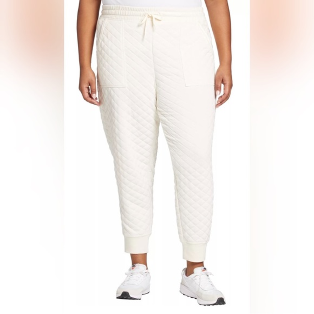 DSG FLEECE JOGGERS NWT SIZE L